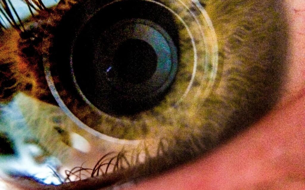 Close up of a human eye showing the iris