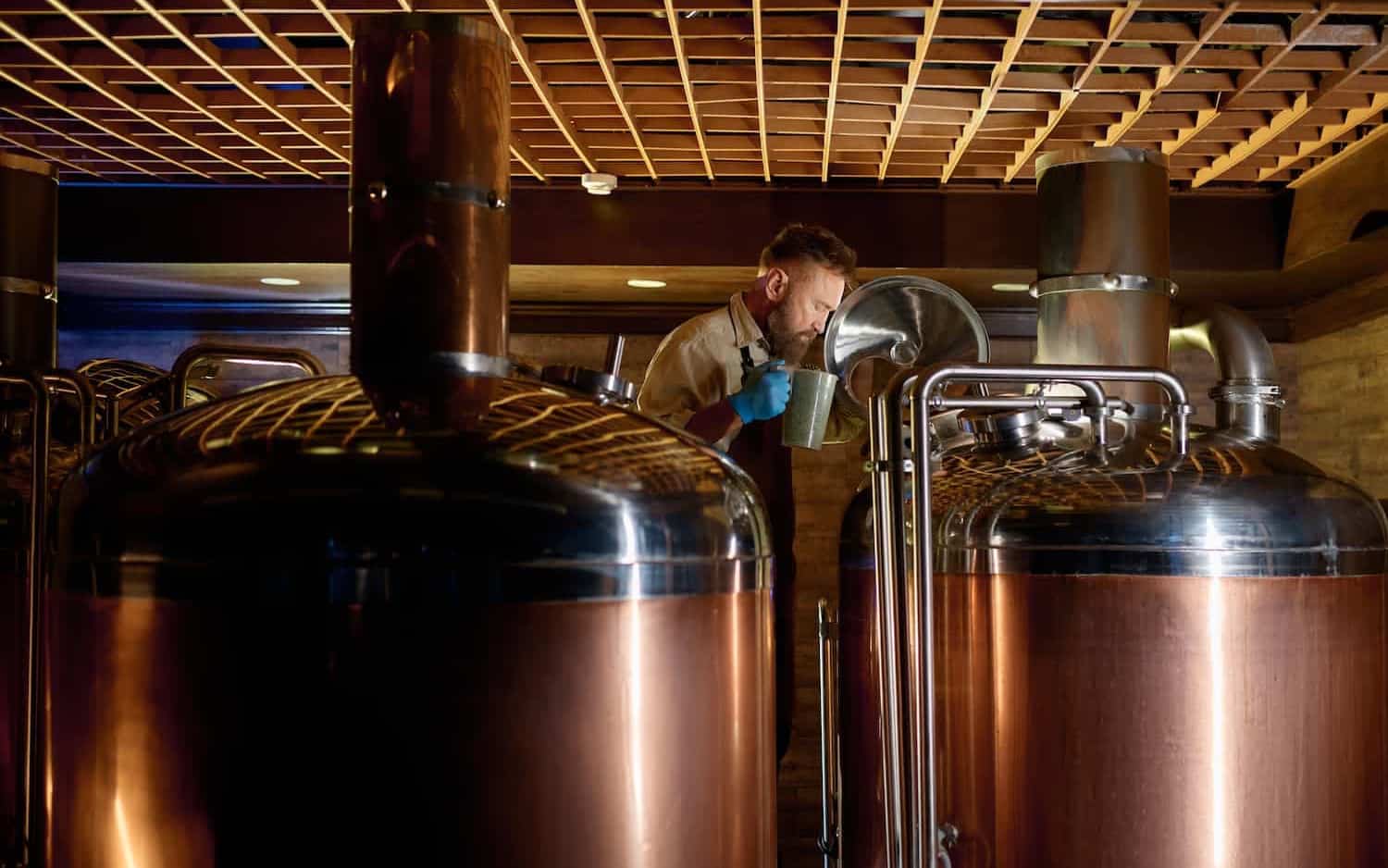 What actually happens on a brew day