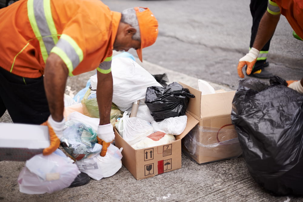 workers-collecting-trash-on-a-city-street-2026-03-25-02-51-52-utc